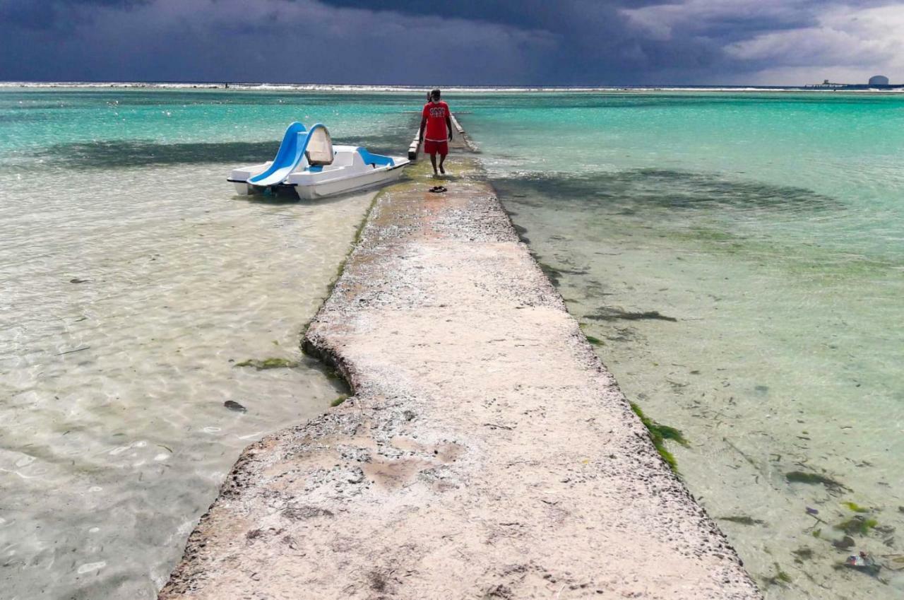 ボカ・チカParco Del Caribeアパートメント エクステリア 写真